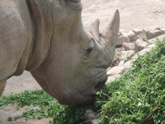 Lahore Zoologiske Have
